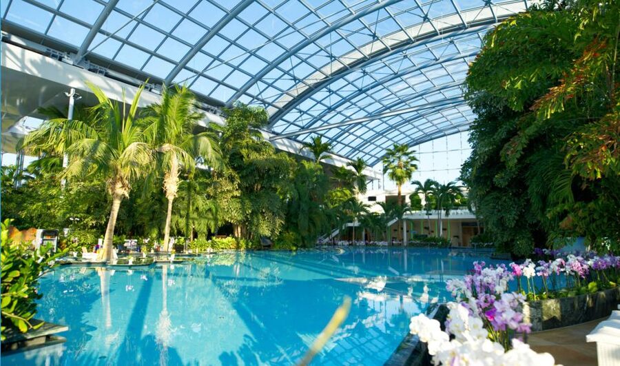 Bucuresti: Therme Bucharest Evening Entry Ticket & Transfer - Palm vs Galaxy: Adults-Only Relaxation Versus a Calmer Main Pool