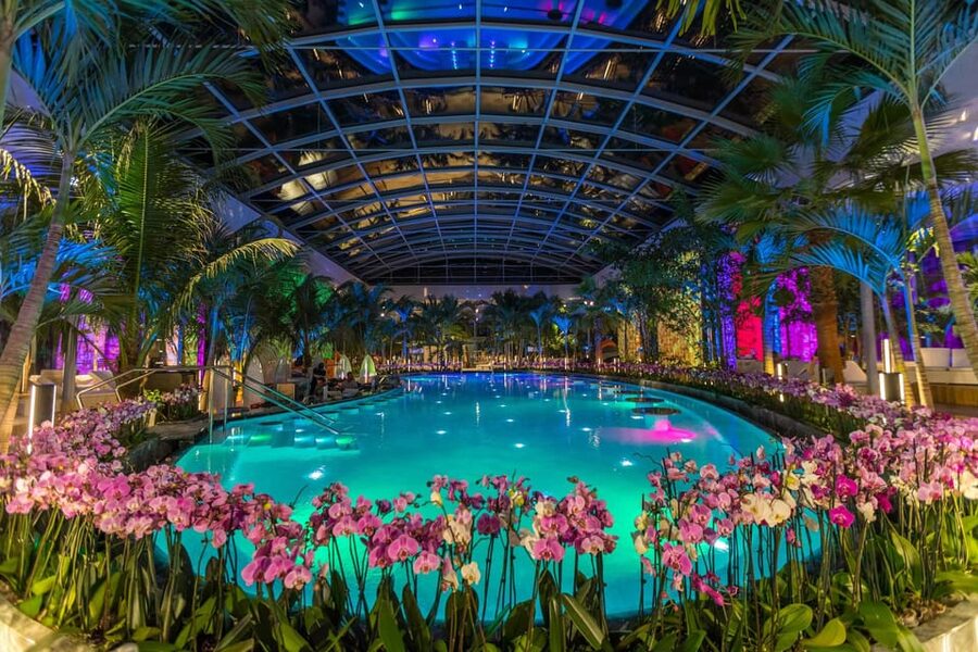 Bucuresti: Therme Bucharest Evening Entry Ticket & Transfer - Saunas, Salt Pools, and On-Site Treatment Screens