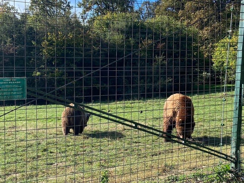 BV05-Private Hiking Tour and Bear Watching: Piatra Craiului - Key highlights at a glance