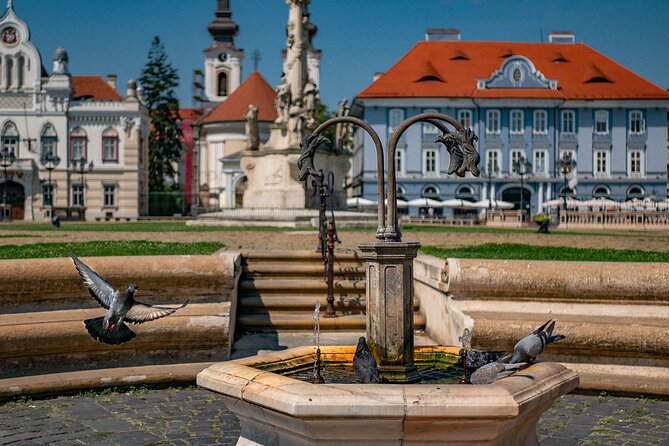 Capture the most Photogenic Spots of Timișoara with a Local - Entering Timisoara through a photo-first mindset