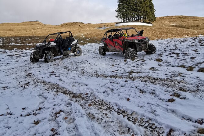Carpathian mountains Snowmobile, ATV or Buggy tour in one day - Price and value: is $403.34 per person a smart winter splurge?