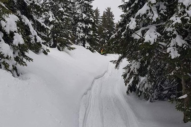 Carpathian mountains Snowmobile, ATV or Buggy tour in one day - The Azuga ride: snowmobile in winter, ATV or buggy if conditions change