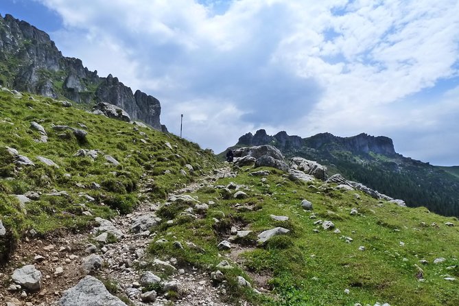 Carpathians in Romania: Bucegi Natural Park with native Spanish guide. - Key highlights to know before you go