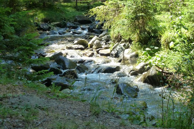 Carpathians in Romania: Bucegi Natural Park with native Spanish guide. - Varful Bucşa: the climb pays back when you keep steady