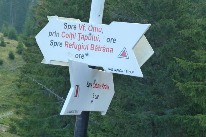 Carpathians in Romania: Bucegi Natural Park with native Spanish guide. - Price and value: $88.94 makes sense if you want a guided mountain day