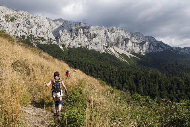 Carpathians in Romania: Piatra Craiului National Park with native Spanish guide. - Key highlights worth clocking before you go