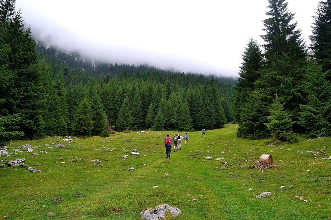 Carpathians in Romania: Piatra Craiului National Park with native Spanish guide. - Meeting at Fountain Botorog and what the morning rhythm looks like