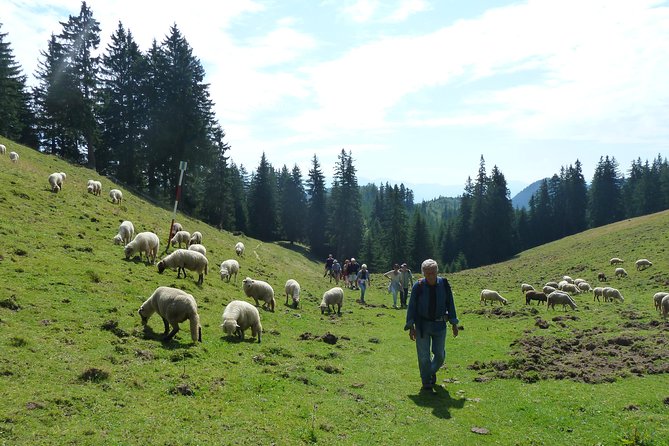 Carpathians in Romania: Piatra Craiului National Park with native Spanish guide. - How tough is this hike, and what gear keeps you comfortable