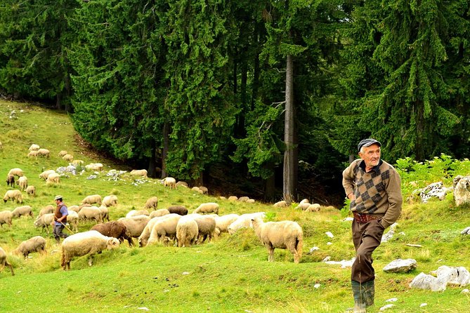 Carpathians in Romania: Piatra Craiului National Park with native Spanish guide. - The guide experience: Spanish storytelling, legends, and practical trail care