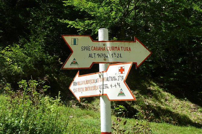 Carpathians in Romania: Piatra Craiului National Park with native Spanish guide. - Price and value: what you are paying for at about $96.33