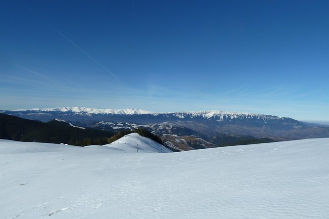 Carpathians in Romania: Piatra Craiului National Park with native Spanish guide. - Who should book this Piatra Craiului hike