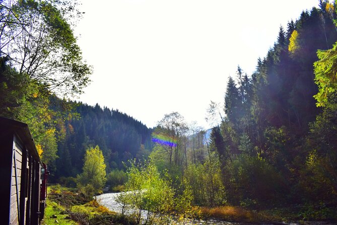 CJ03 - Day trip to Maramures Mocanita Train from Cluj Napoca - The Vaser Valley scenery you can actually use, not just admire