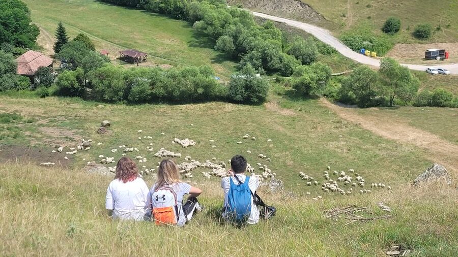 Cluj: Outdoor Activities Day Trip with Zip Line and Hike - Pacing and Trail Reality: When Slippery Footing Matters