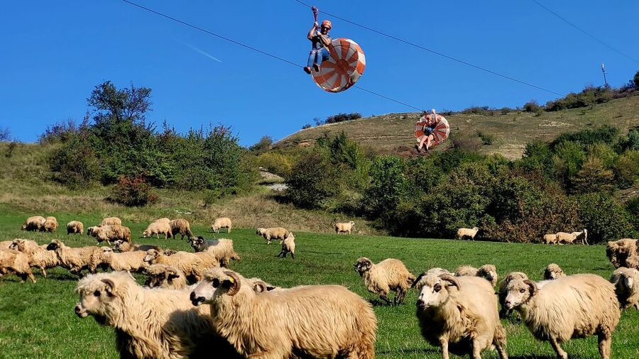 Cluj: Outdoor Activities Day Trip with Zip Line and Hike - Price and Value: Is $115 for 6 Hours Fair?