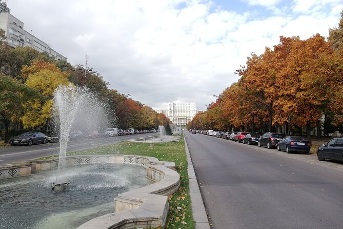 Contrasts of Communism - Small Group Walking Tour in Bucharest - Meet your guide: Elena’s photo-led, question-friendly style
