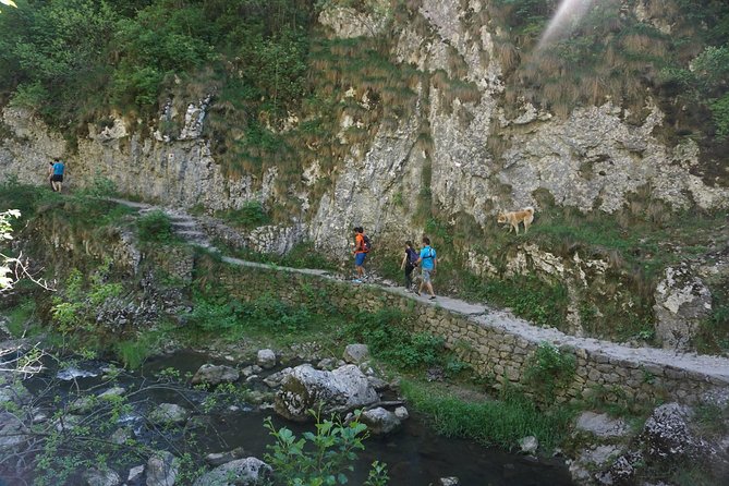 Curly Tour - Day trip from Cluj :) - Pacing and comfort: small group energy with real guidance