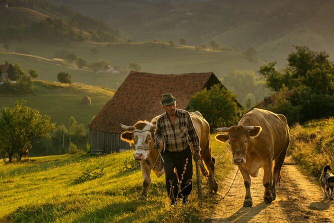 Cycling in Transylvania: Vulcan, Holbav, Cristian. - Neotour Brașov at 9:00, bikes ready, small-group pace