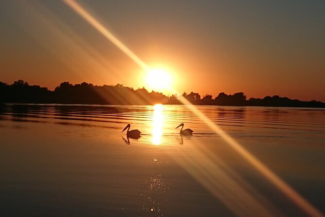Daily Tours in the Danube Delta - Camely Cruise - Onboard comfort when rain or wind shows up