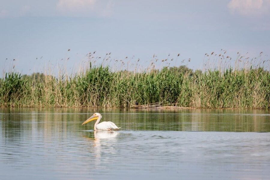 Danube Delta - 2-Day Tour from Bucharest - What you’ll like most, if you’re the right kind of traveler