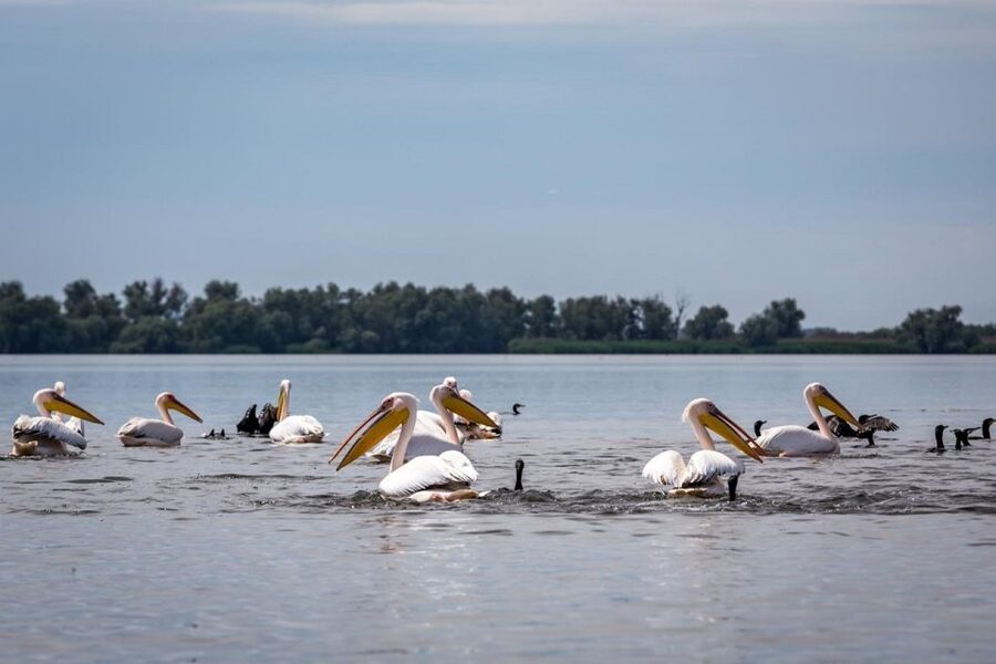 Danube Delta - 2-Day Tour from Bucharest - Price and value: is $505 per person fair for this itinerary?