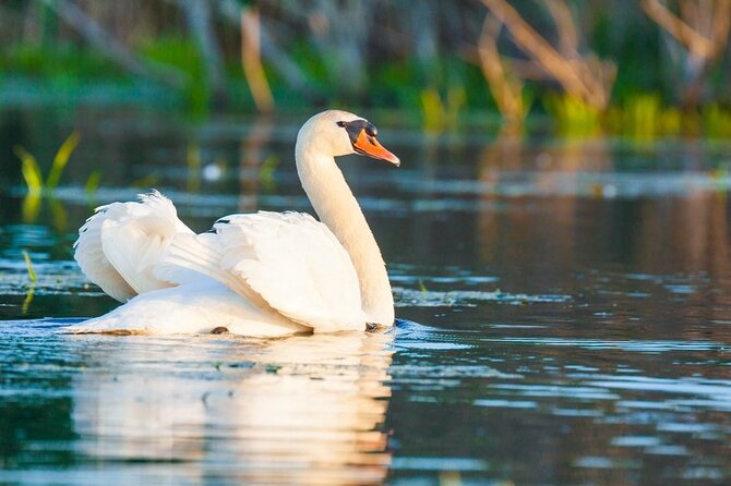 Danube Delta and Black See - 2 Days Private Tour from Bucharest - Tulcea as your smart overnight base: where logistics become invisible