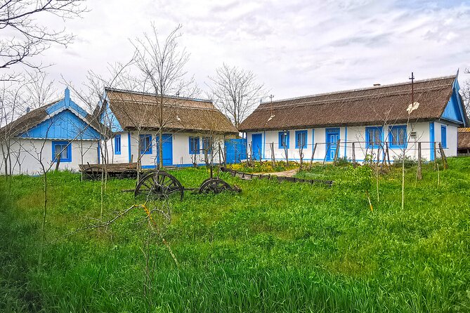 Danube Delta PRIVATE boat trip to Letea Forest (guided tour) - Letea village: subtropical atmosphere and the slow, wandering pace