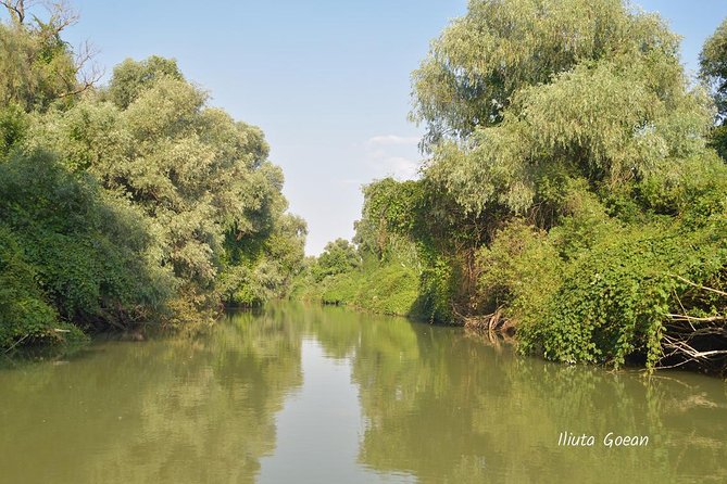 Danube Delta PRIVATE boat trip to Mila23 Village (guided tour) - Key highlights to look for
