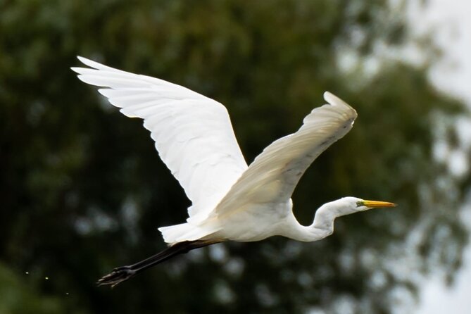 Danube Delta - Private Tour with Boat Trip & Traditional Lunch - When heat hits 38 C: how to stay comfortable