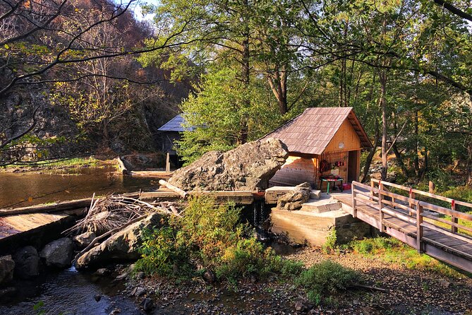 Danube Gorge & Banat Waterfalls - Danube Gorge by motorboat: the 9 km route where the river narrows