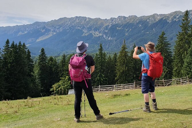 Day Hike in Carpathian Mountains for all levels in five areas - Meeting Point and Getting Started in Old Town Brasov