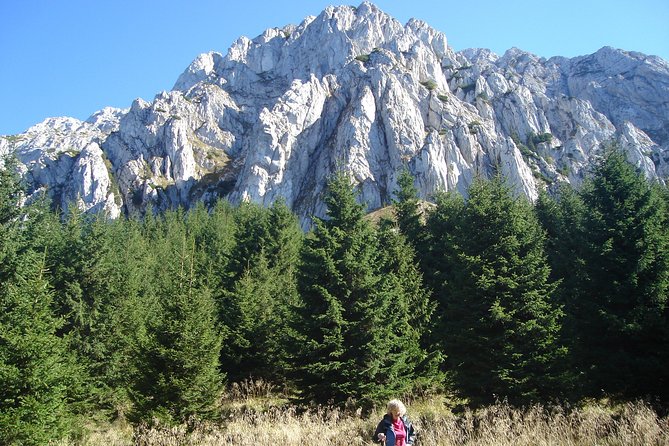 Day Hike in Carpathian Mountains for all levels in five areas - The Trail: Forest, Meadows, Panoramas, and Sometimes Gorges