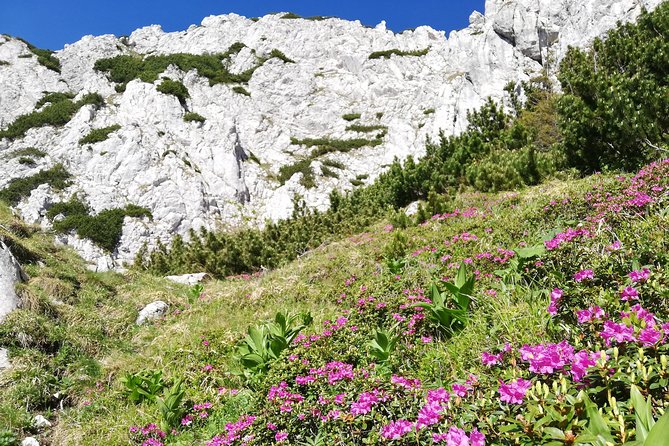 Day Hike PRIVATE - Piatra Craiului National Park - Zarnesti Canyon: the main hike section and what it’s like