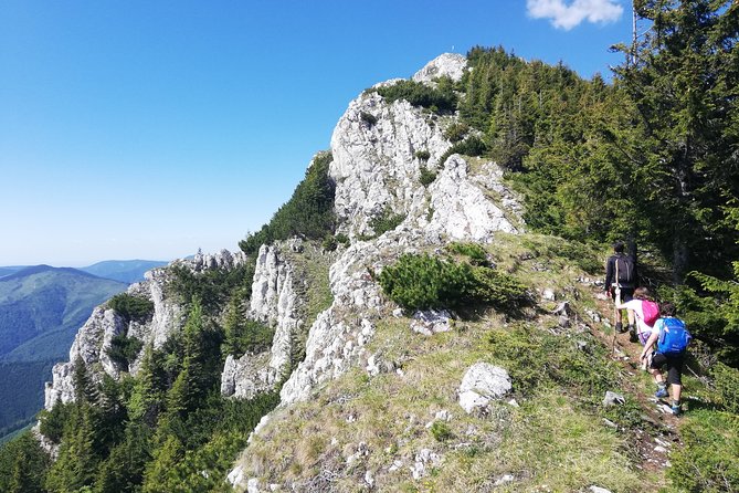 Day Hike PRIVATE - Piatra Craiului National Park - How the Brasov to trail transport keeps your day on track