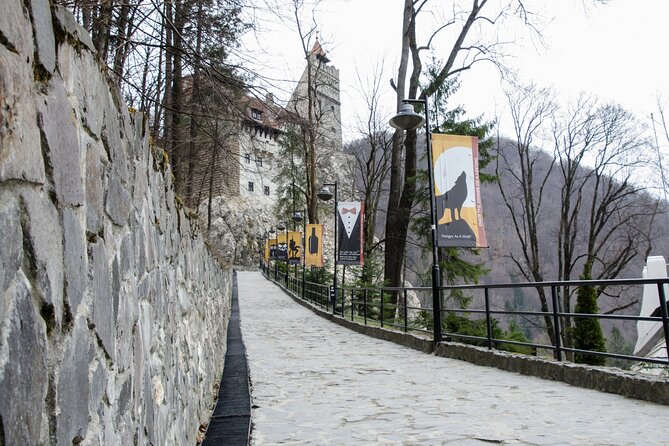 Day Trip Bear Sanctuary, Bran Castle, Rasnov Fortress from Brasov - A tight 6.5-hour Transylvania sampler from Brasov