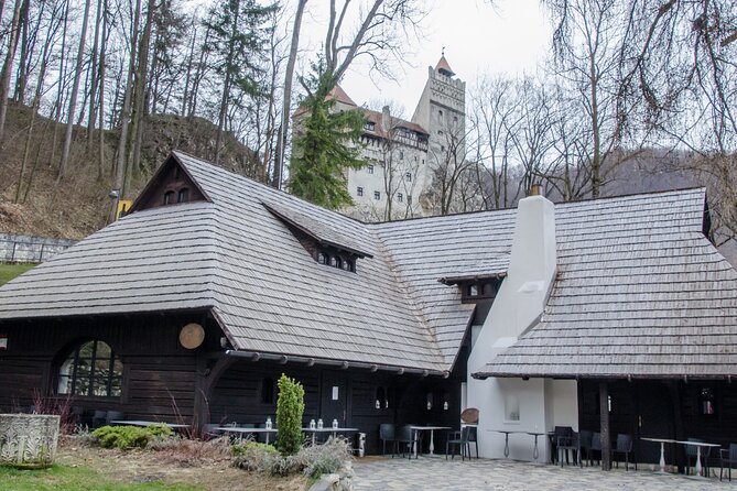 Day Trip Bear Sanctuary, Bran Castle, Rasnov Fortress from Brasov - LiBEARty Bear Sanctuary Zarnesti: rescued brown bears, real emotions, good etiquette