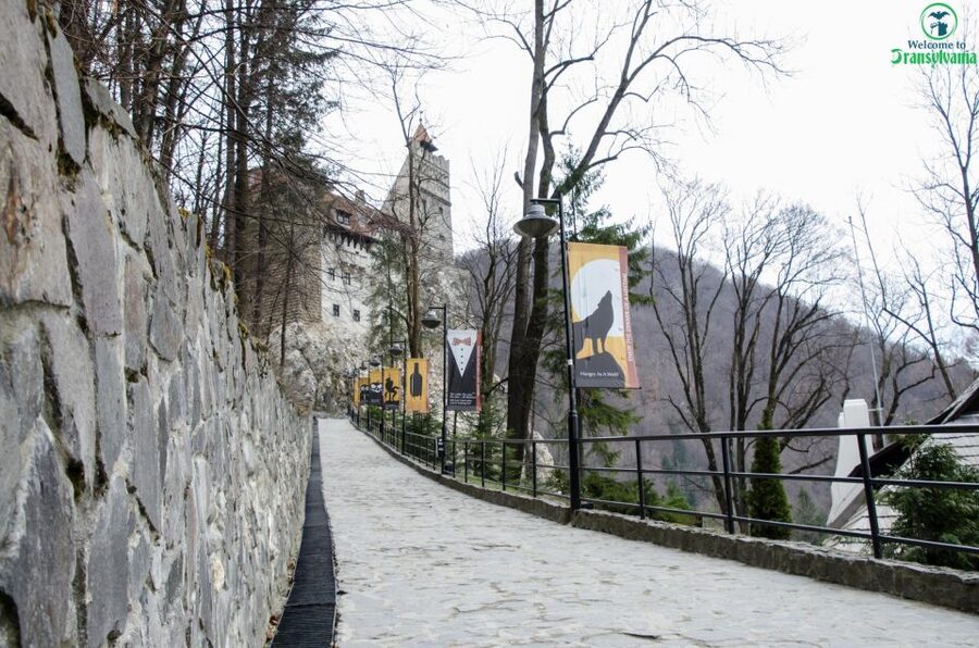 Day trip Bran Castle, Rasnov Fortress and Bear Sanctuary - How This 6-Hour Van Day Works From Brașov