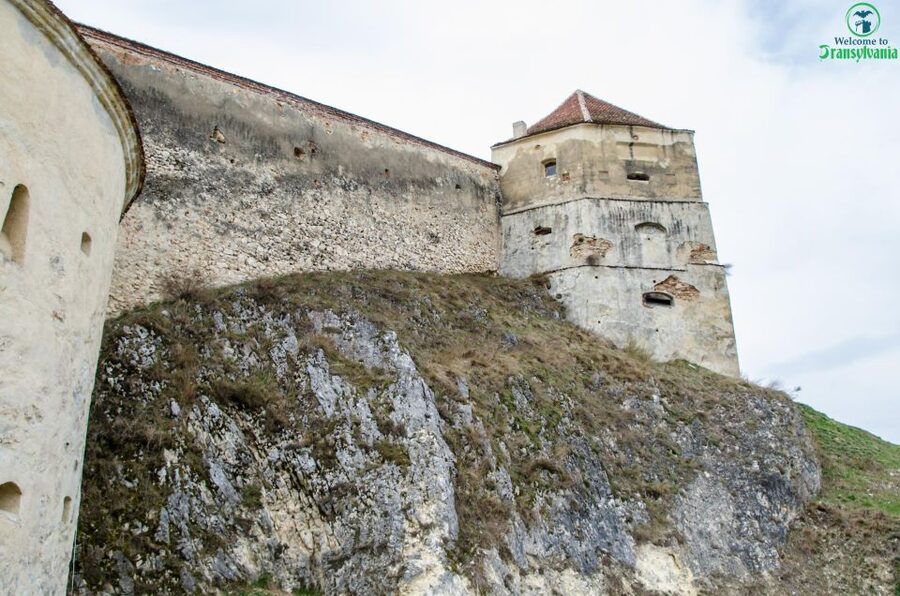 Day trip Bran Castle, Rasnov Fortress and Bear Sanctuary - Who Should Book This Tour (And Who Might Skip It)