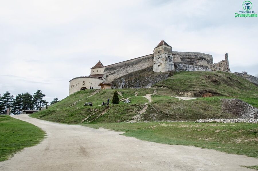 Day trip Bran Castle, Rasnov Fortress and Bear Sanctuary - Should You Book the Bran Castle, Rasnov Fortress, and Bear Sanctuary Day Trip?