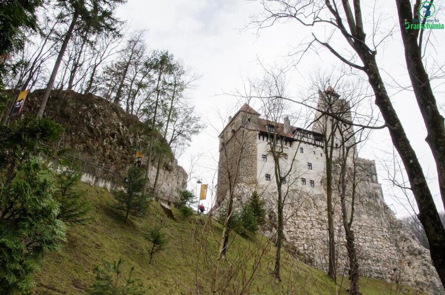 Day trip Bran Castle, Rasnov Fortress and Bear Sanctuary - Bran Castle: Dracula Lore Meets a Real Guided Walk
