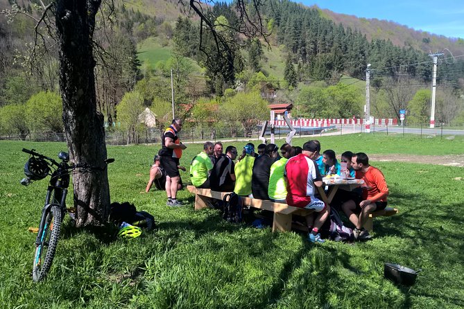 Day trip from Brasov: Bison reserve & traditional lunch - Lunch at a Local Household: Real Comfort Food, Not a Stage Meal
