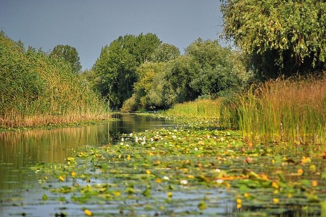 Day Trip from Bucharest to Danube Delta - The 6:30 AM Bucharest start: worth it, if you plan for it