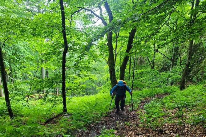 Discover Apuseni Mountains - Scarita Summit,Sipote Waterfall and Dumesti Village - Pace, fitness, and what to wear so the day feels good