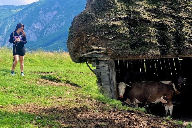 Discover Apuseni Mountains - Scarita Summit,Sipote Waterfall and Dumesti Village - What I’d watch for before you book