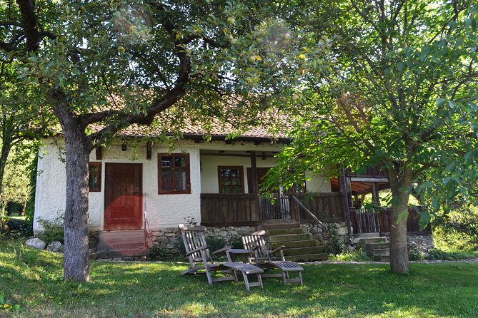 Discover King Charles III favourite places in Transylvania 7 Days Private Tours - Day 6 Valea Zalanului and the King’s house, with a horse cart ride