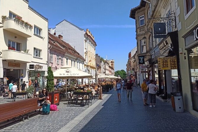 Dracula's Castle -Private Tour- with Brașov City and Peleș Castle - The Long Day Reality: Timing, Traffic, and Comfort