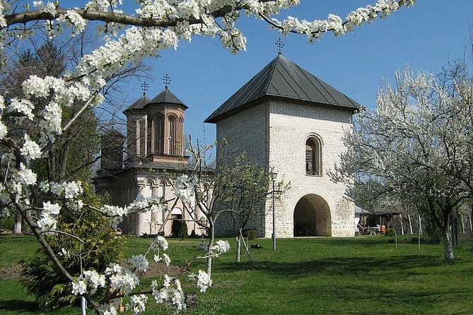 Dracula's Tomb and Mogosoaia Palace, Private Tour from Bucharest - Price: Is $94.93 Per Person Good Value?