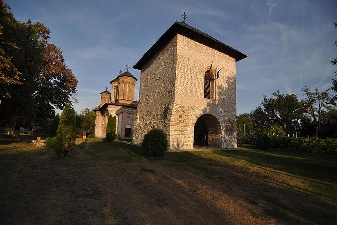 Dracula's Tomb and Mogosoaia Palace, Private Tour from Bucharest - Who This Tour Suits Best, and When to Rethink It