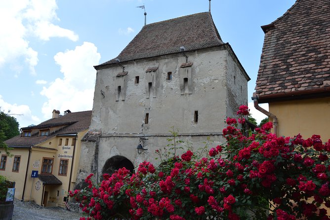 Exclusive tour: Sighisoara, Medias and Biertan tour from Sibiu - Sighisoara citadel streets: where medieval walls are still lived in