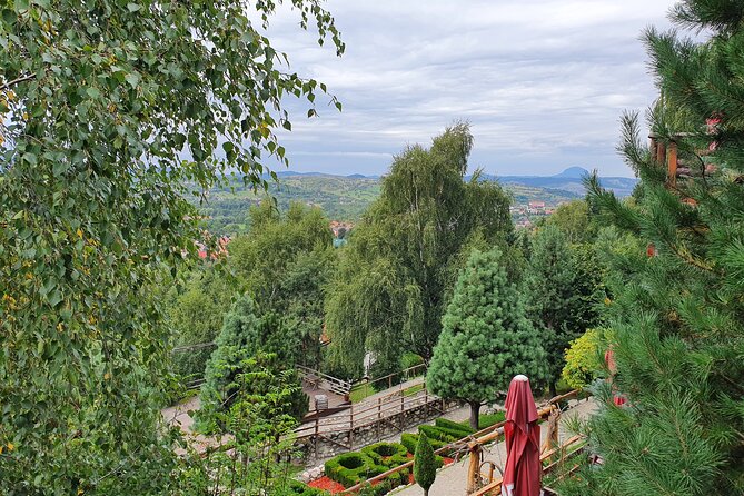Executive Dracula Day Trip - See Bran & Peles Castle, Brasov from Bucharest - What the Guide Adds (and Why It Matters on Castle Days)