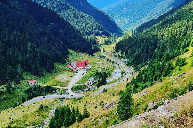 Executive Dracula Day Trip - See Bran & Peles Castle, Brasov from Bucharest - Who Should Book This Tour